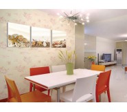 Set tranh treo tường phòng ăn sao biển